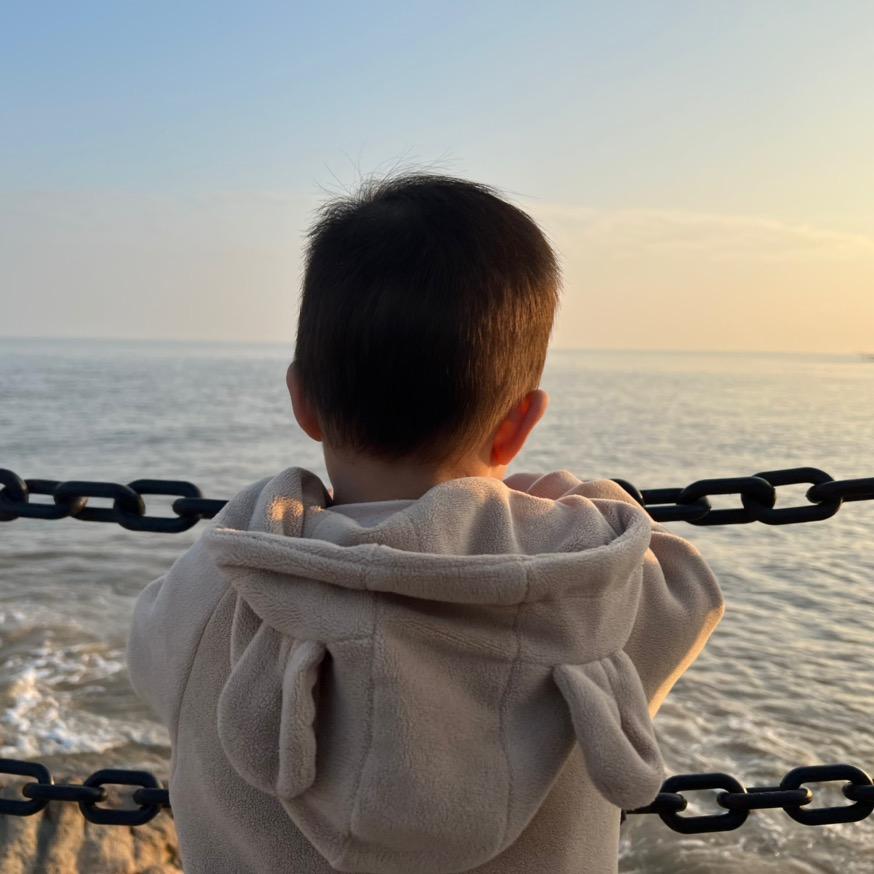 专业运输车队-平板飞翼高栏