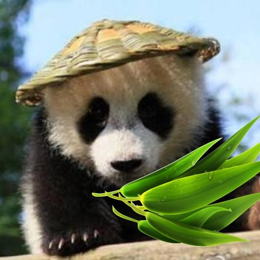 野生动物探秘