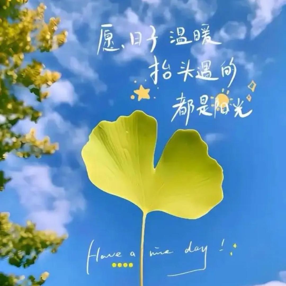 - 浴帝哥哥🛀
