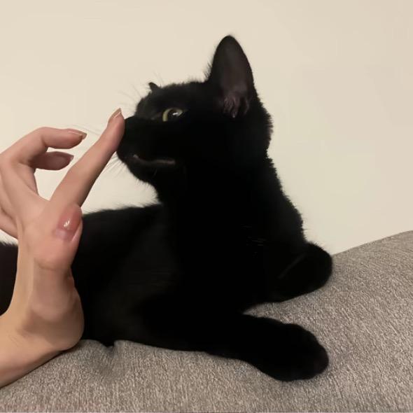 0.01