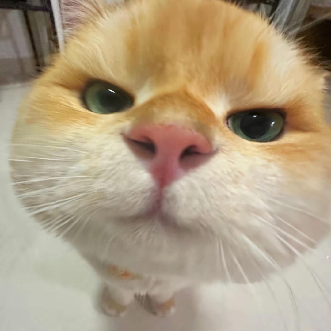 开心小面包