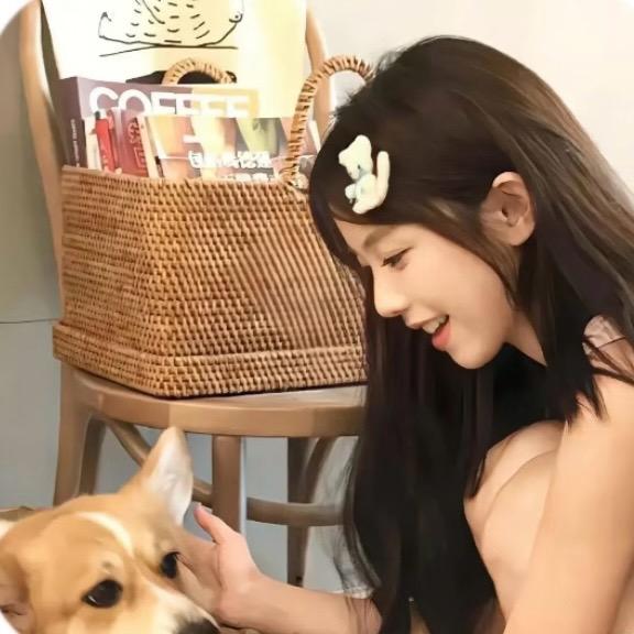 豆鲨包🦈.