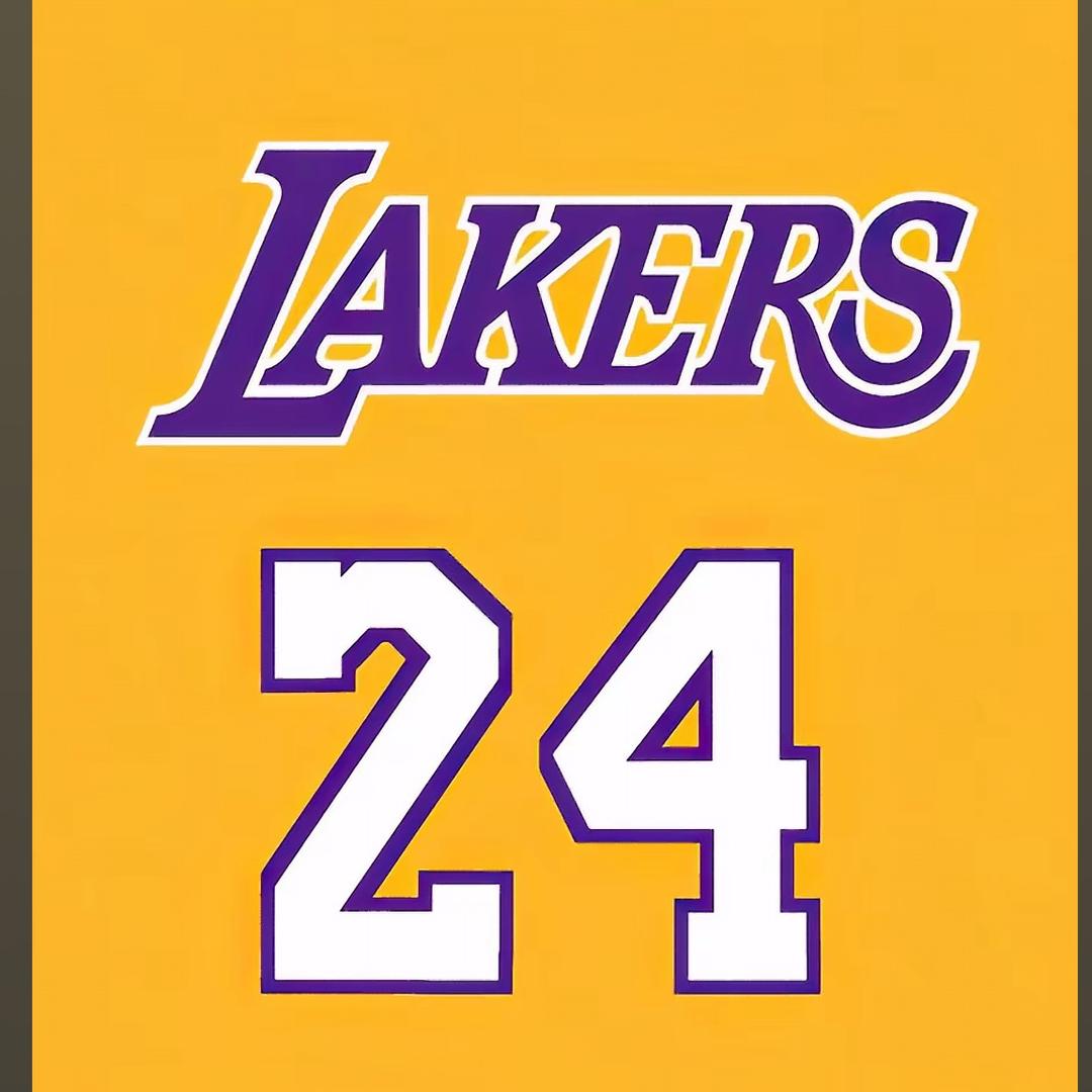 登哥NBA