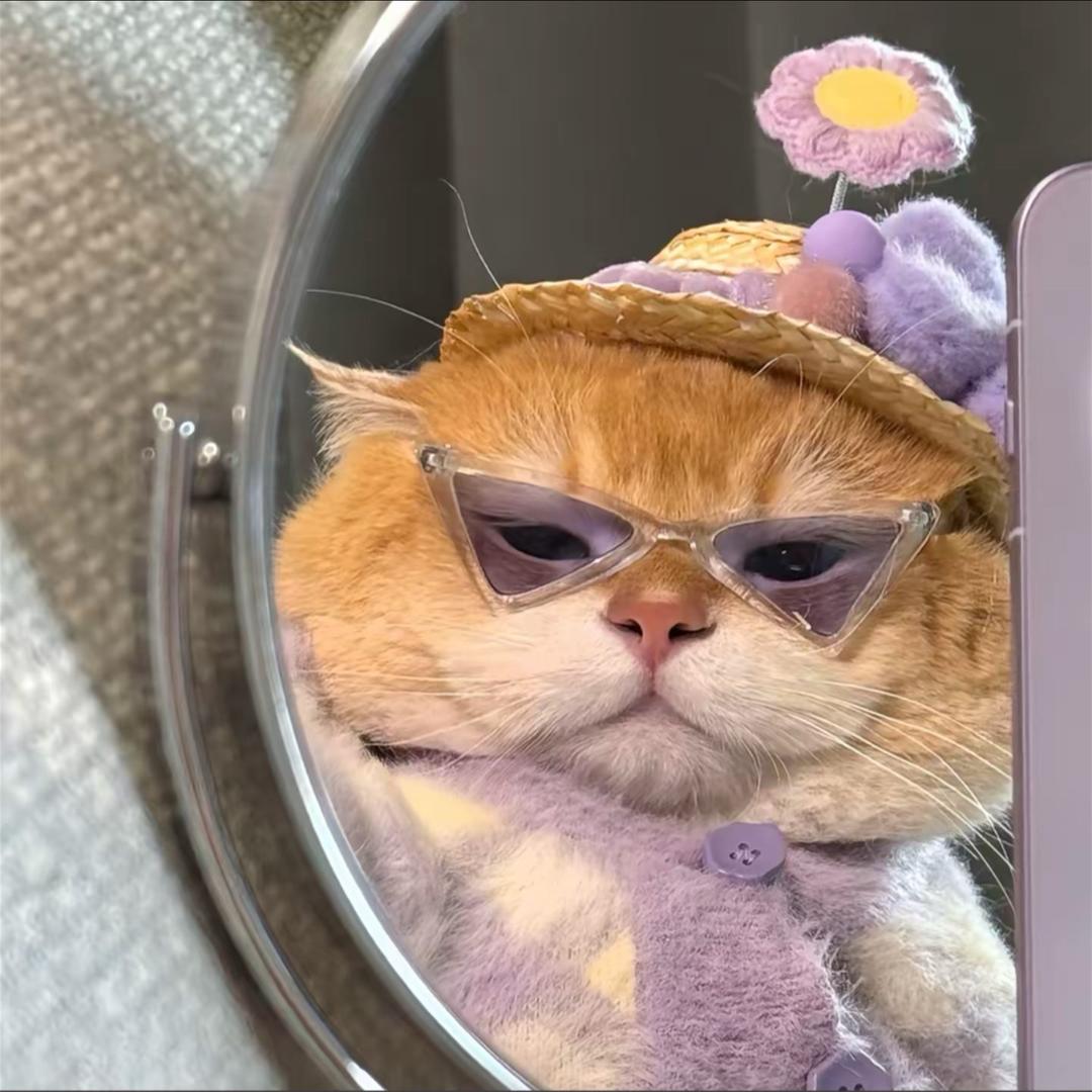 孙花花哟