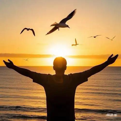 向阳飞的萤火虫