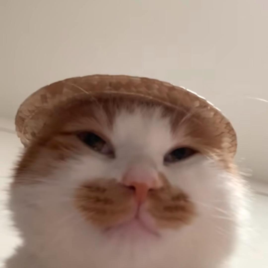 小九