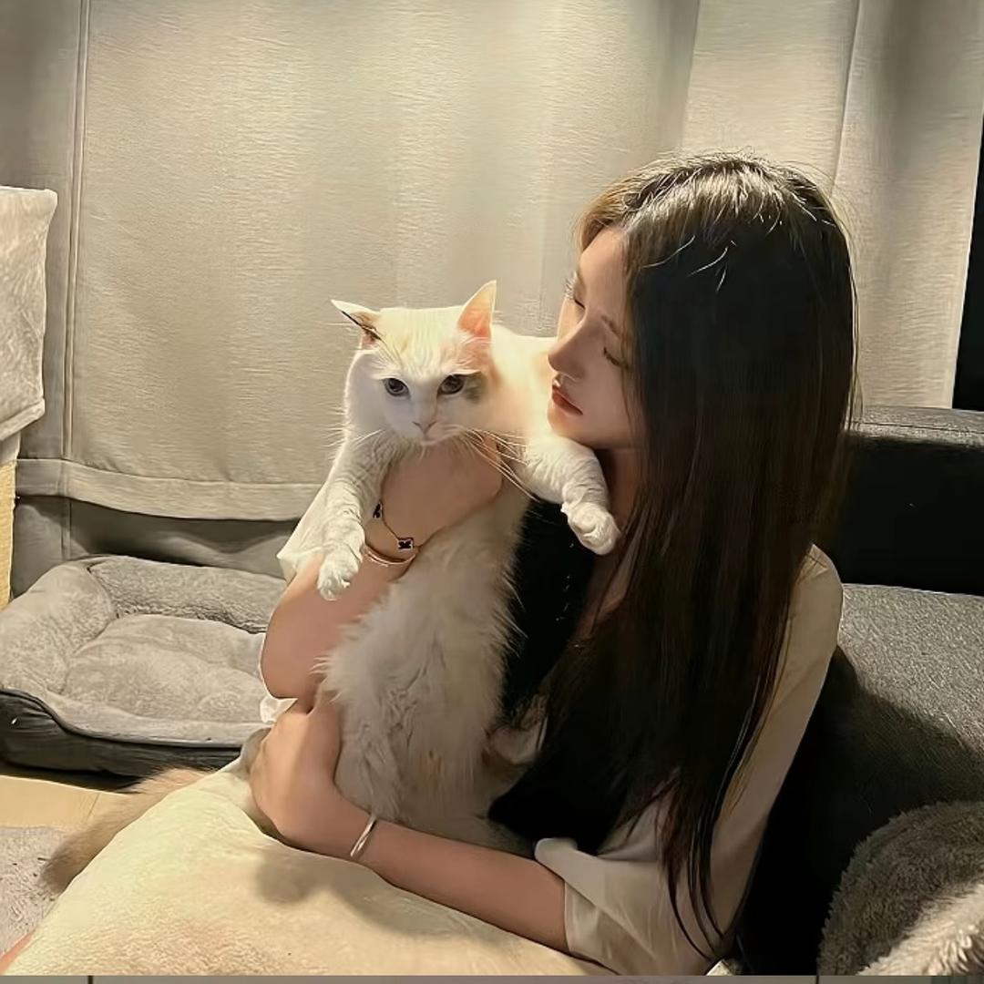 双子座 ^