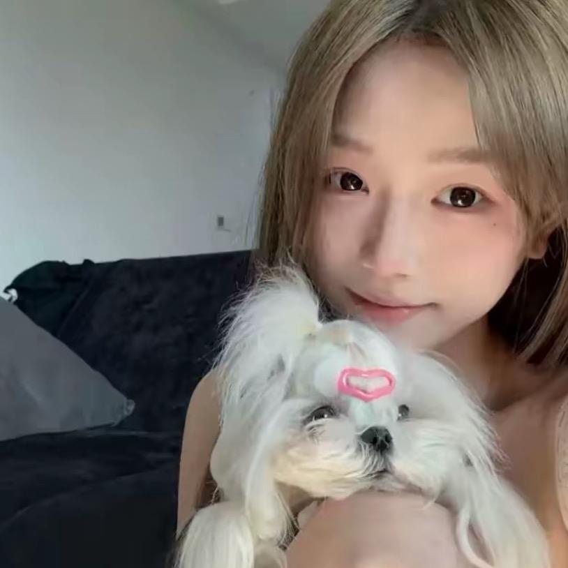 一起养小咪