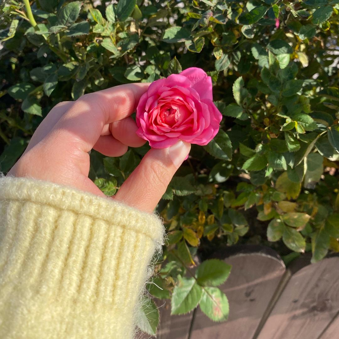 💕₅²⁰终是错付ᶟ₁₄💕