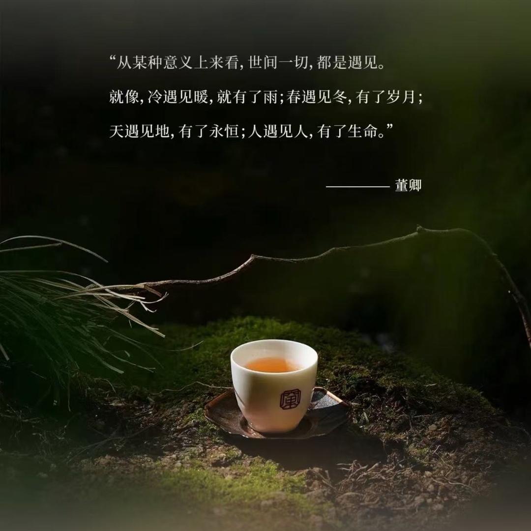 竹窠赵氏（檀镜三区店）