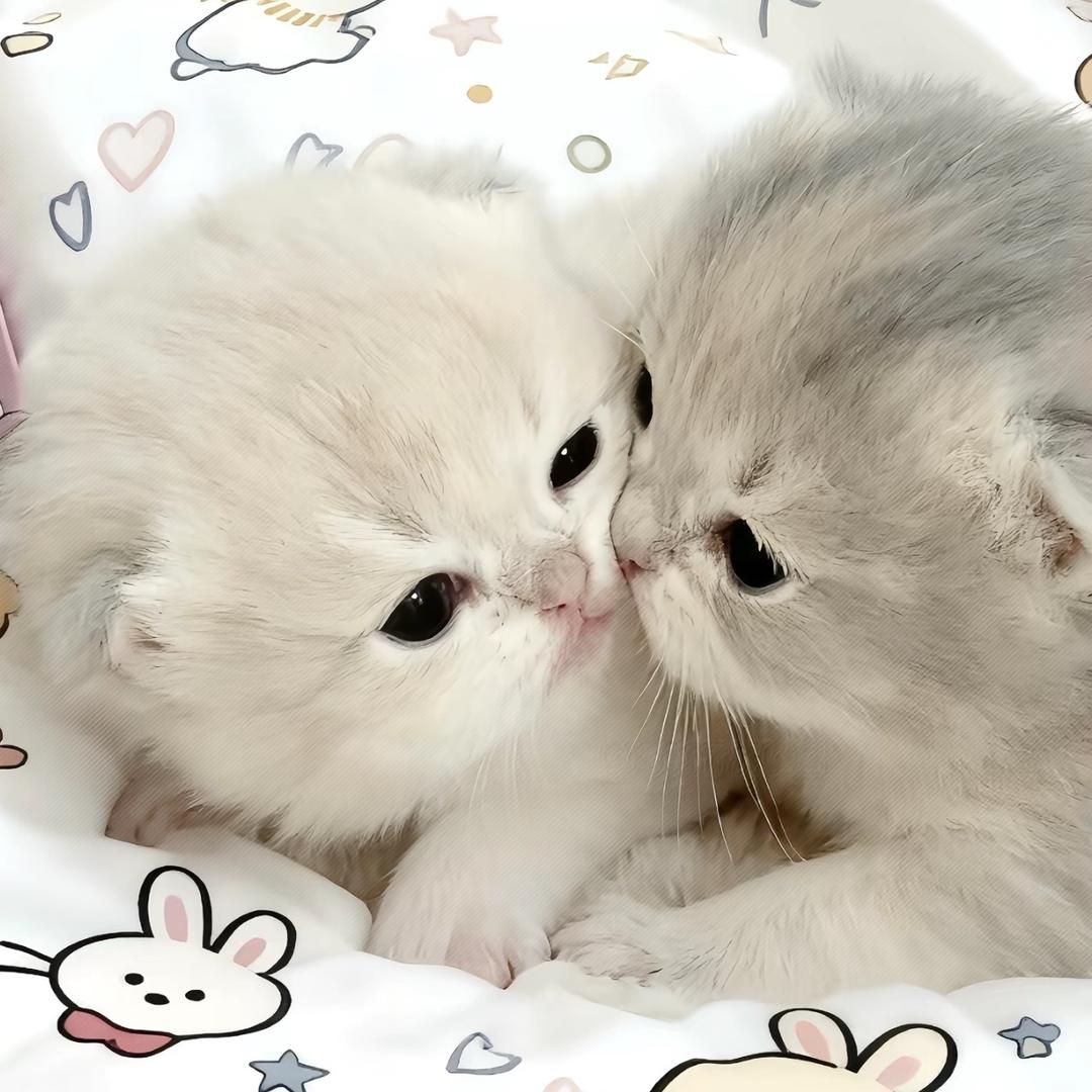 舒心.