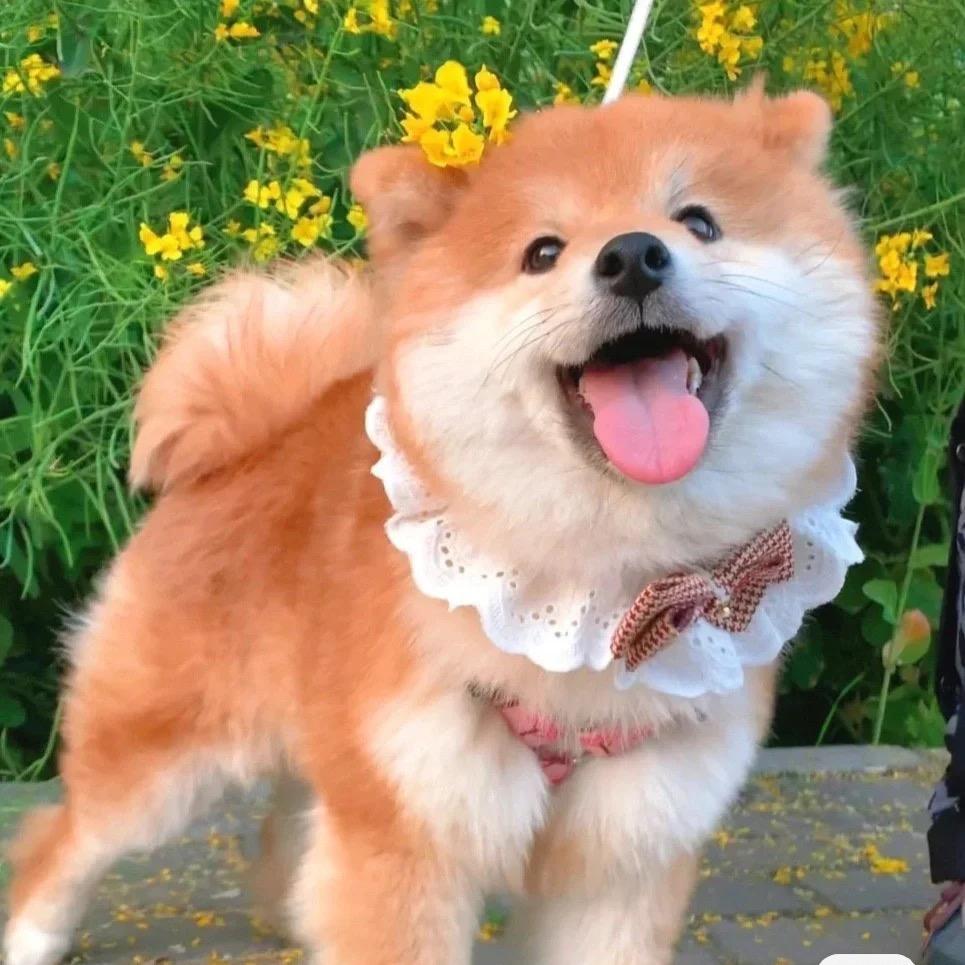 就很过混