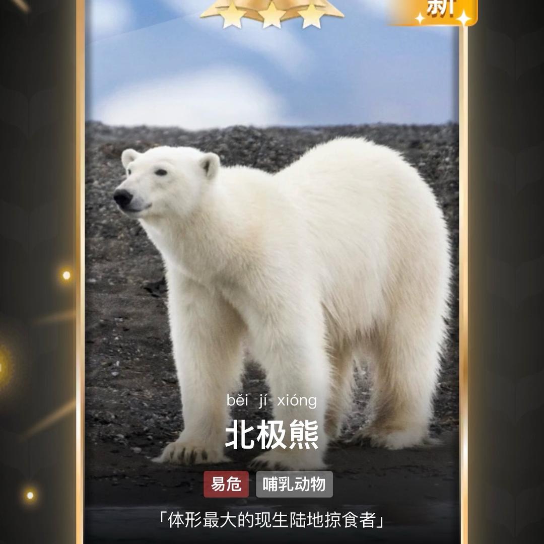 @🇨🇳
