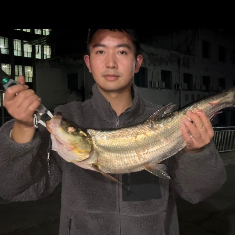 🍊🐉 •Jake陈🎣