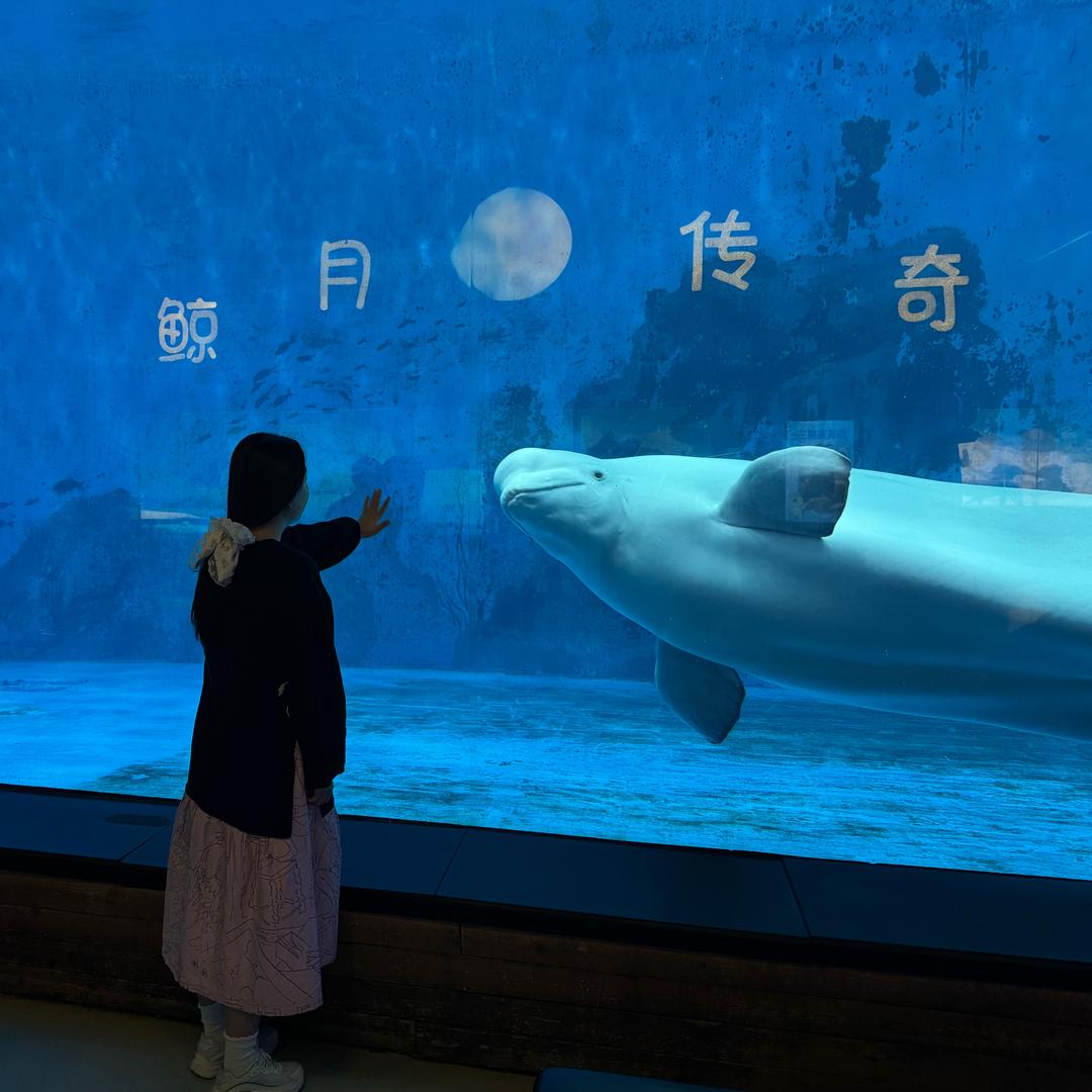 。初智齿