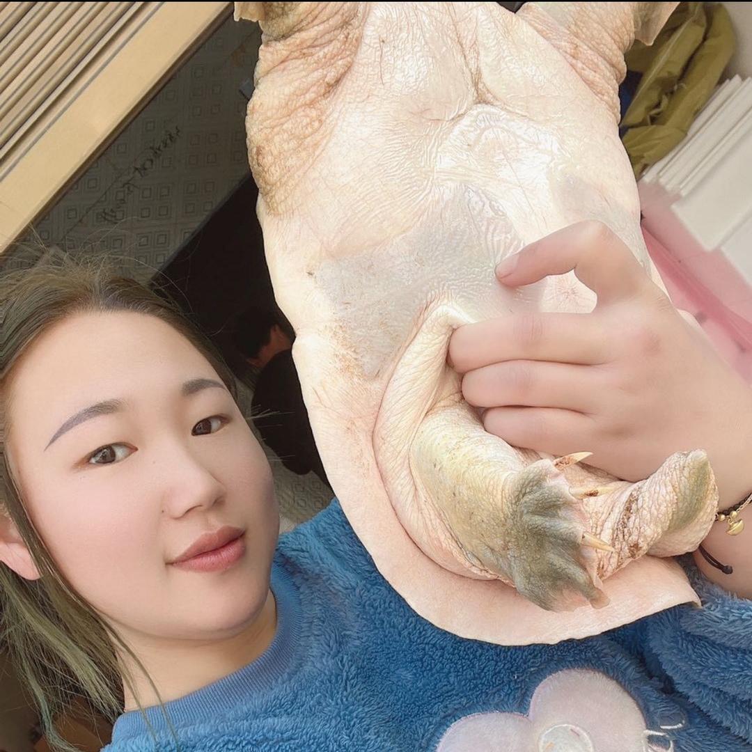户外小熊（生态甲鱼）