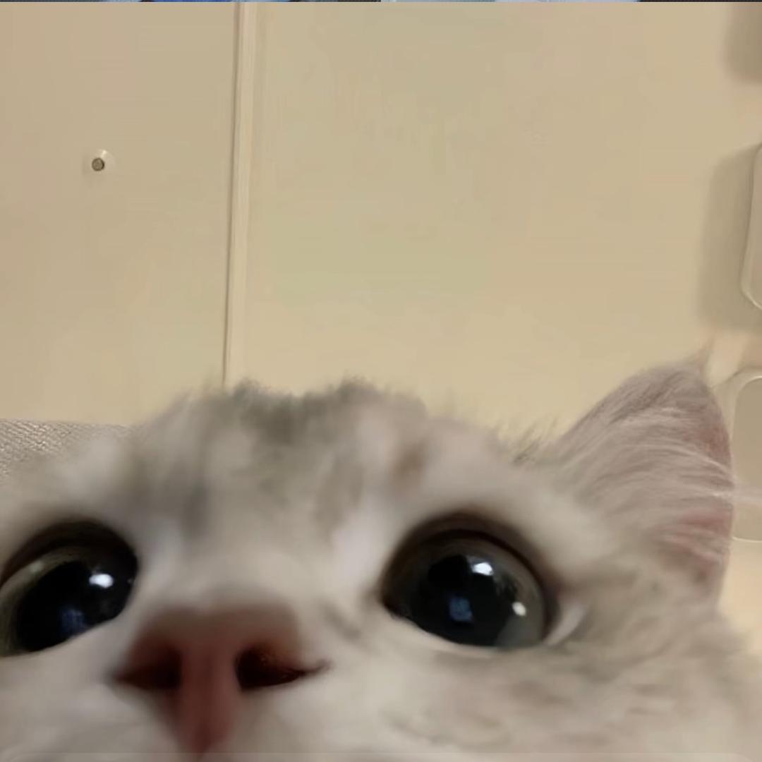 秋刀鱼_