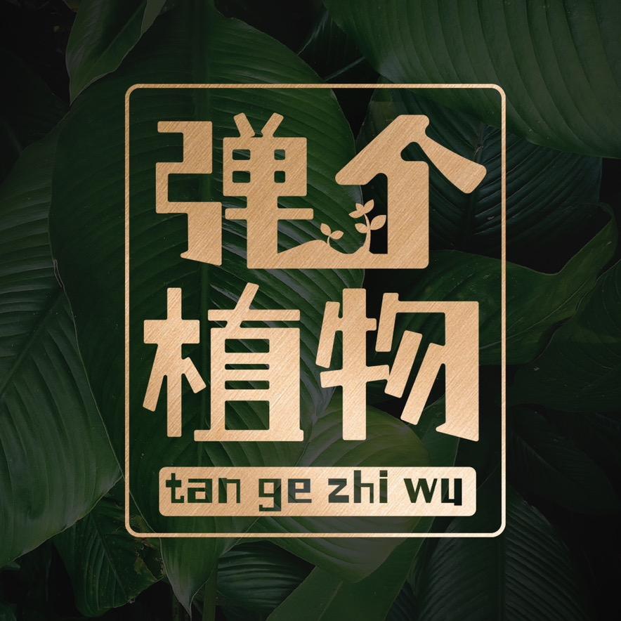 弹个植物1