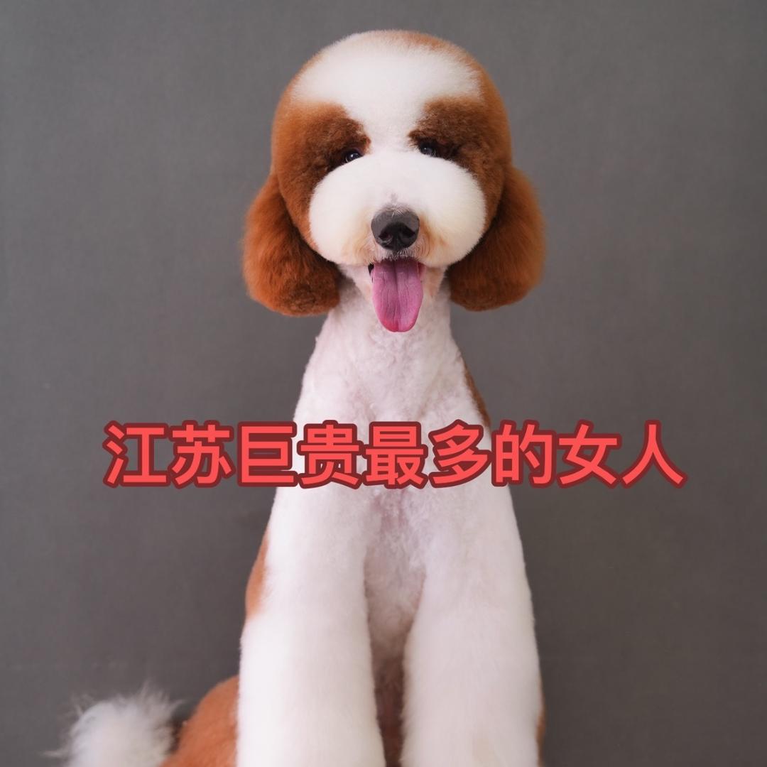 江苏巨贵最多的女人-紫琳