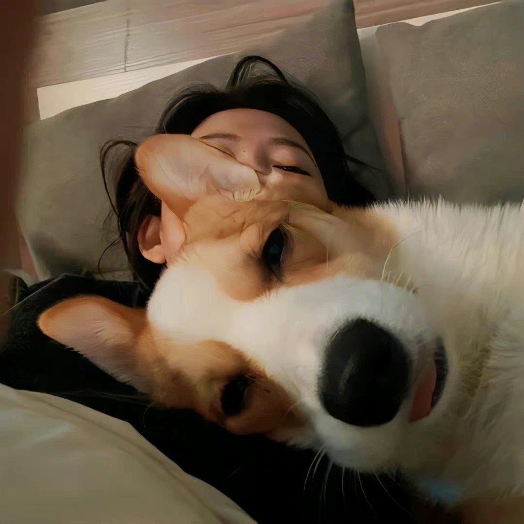 安博汽车用品店