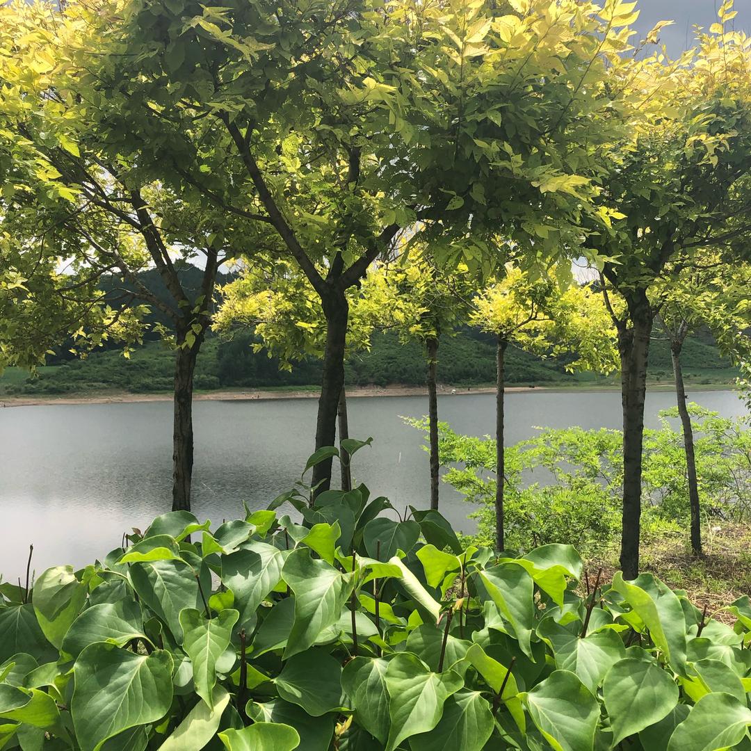 水罐