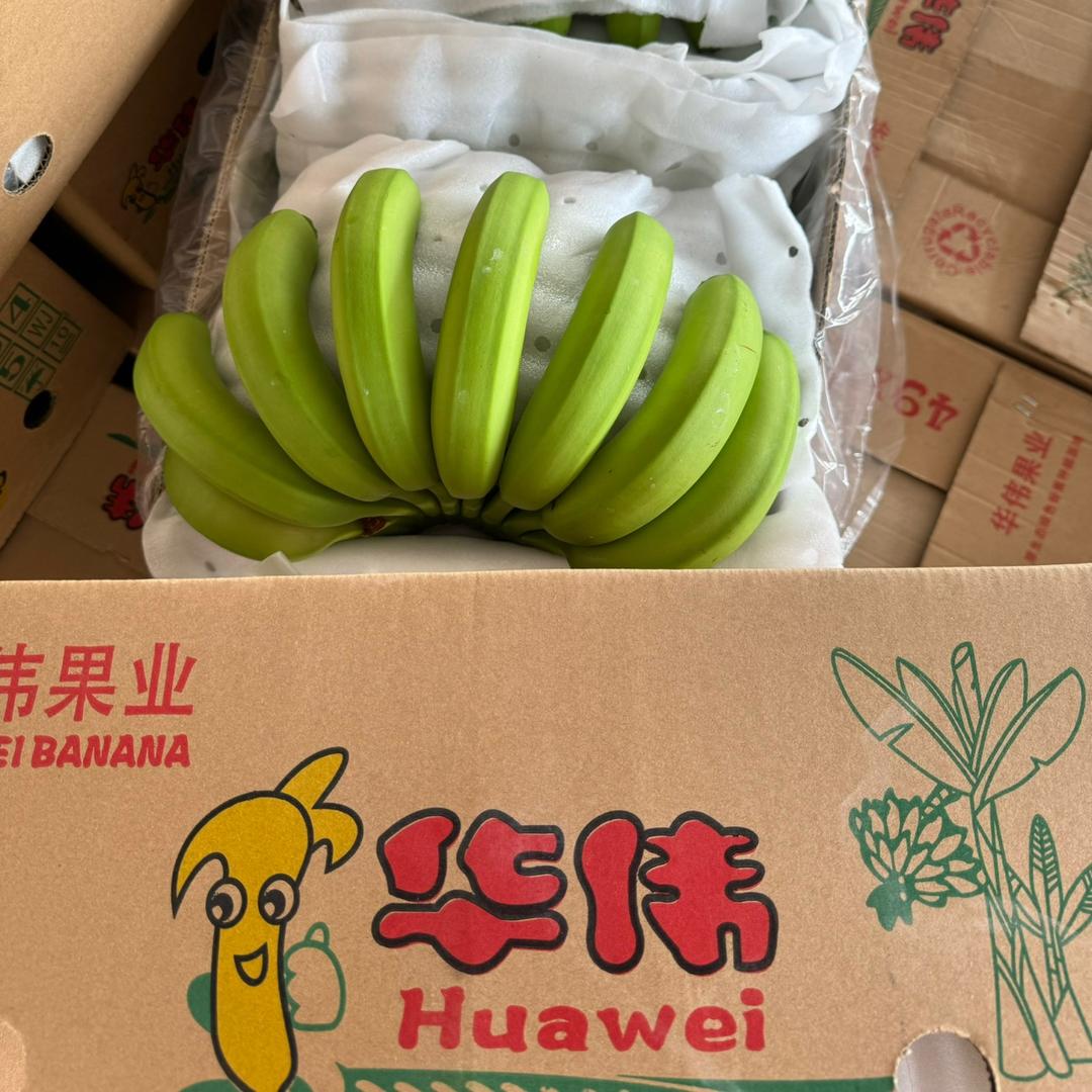 华伟果业-张文轩