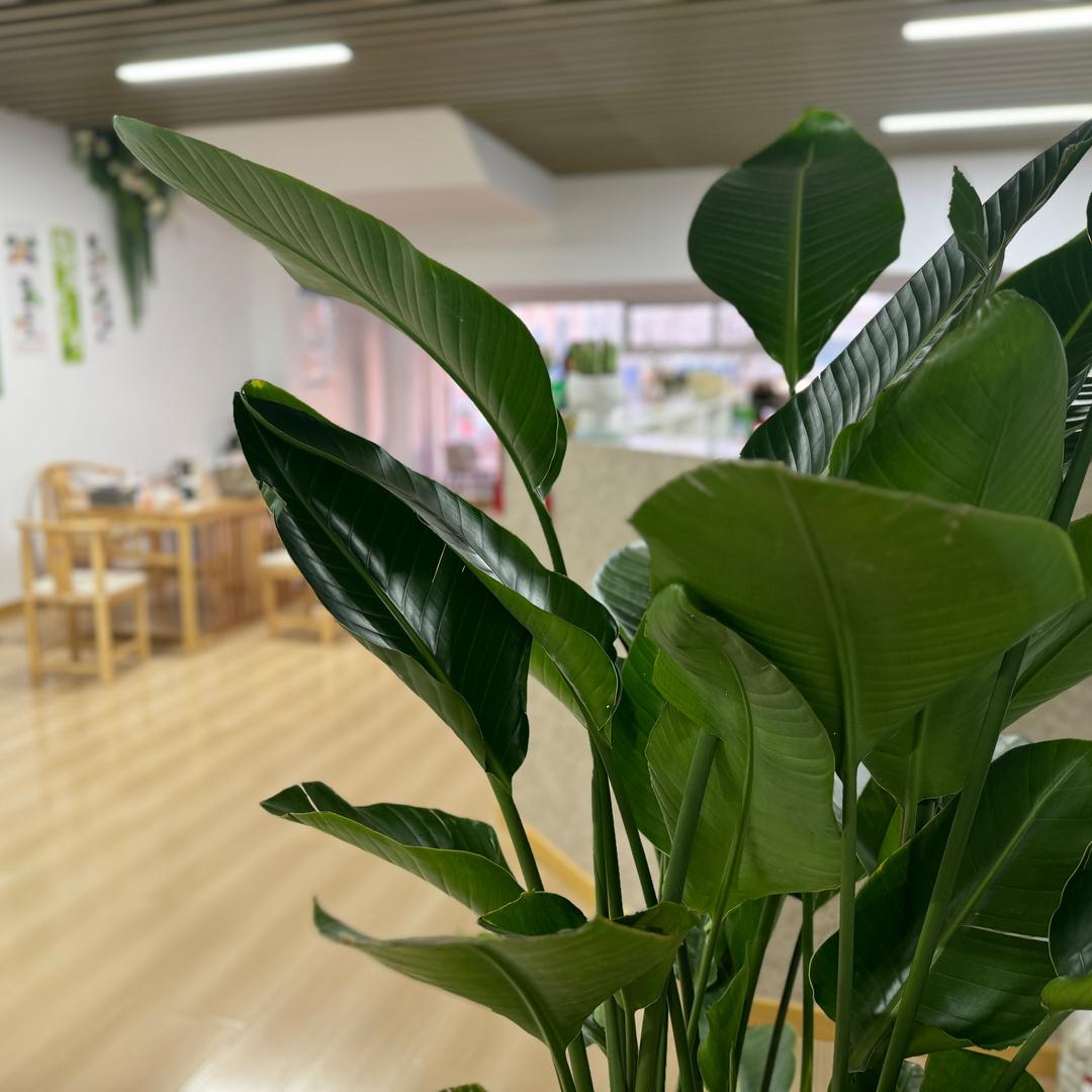 纤瘦皮肤管理官方号