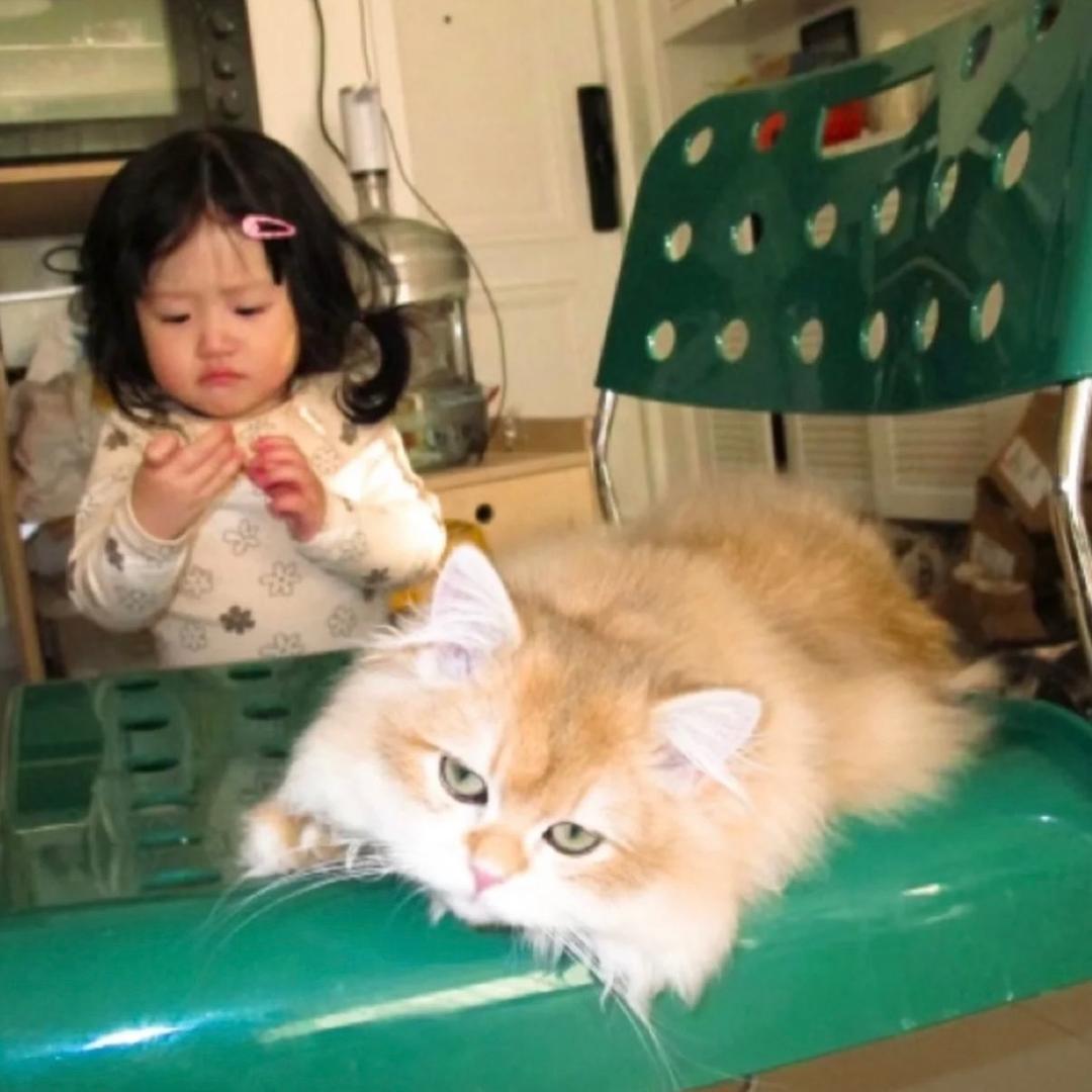 馒头.