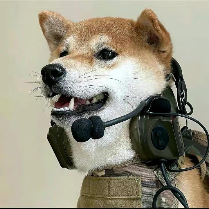 mouse（云顶之弈）