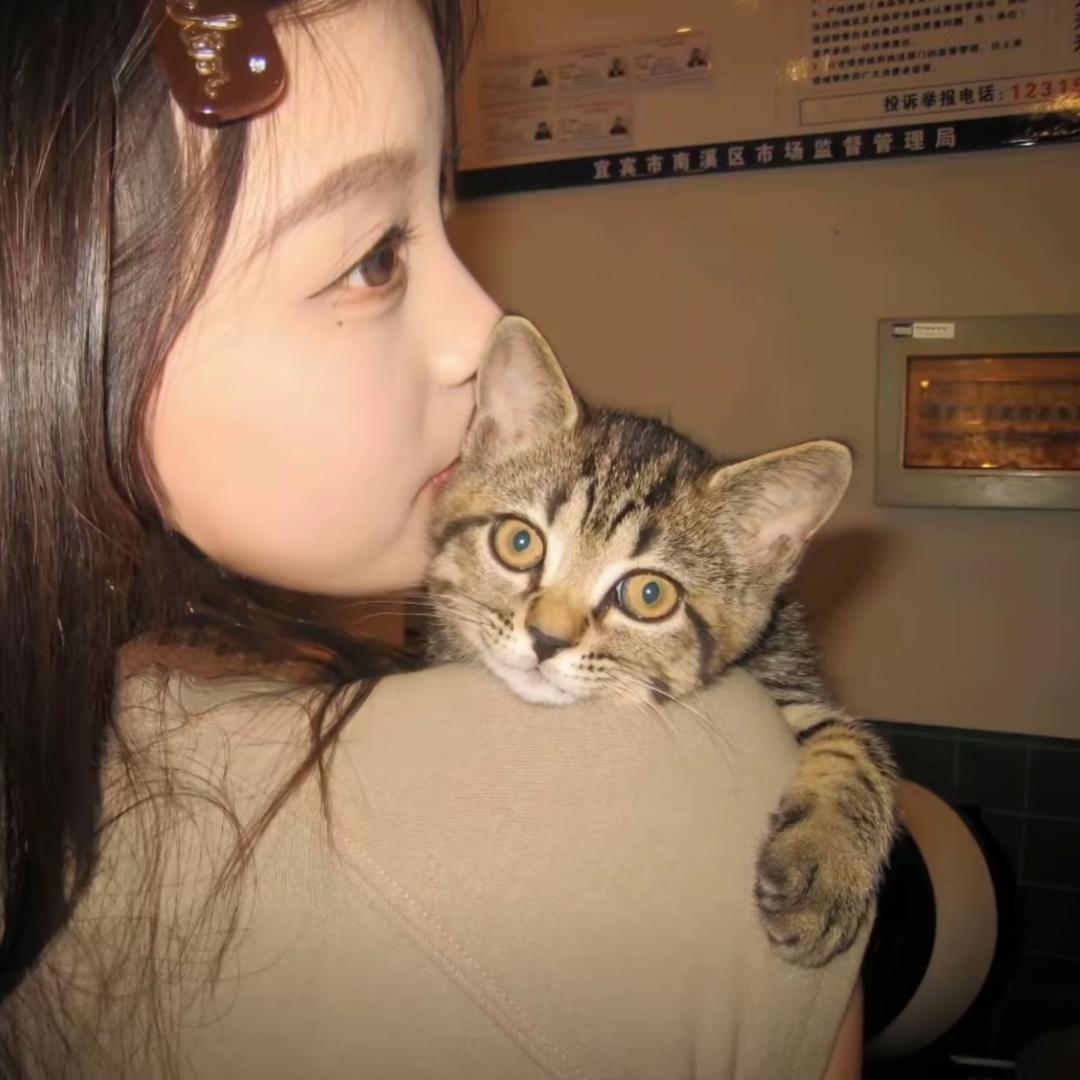 木木 夕