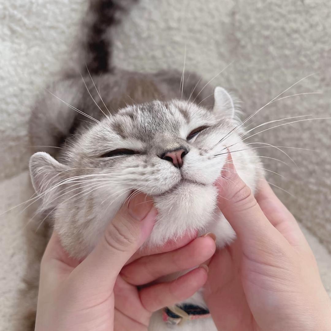 手拿利群烫人腋毛