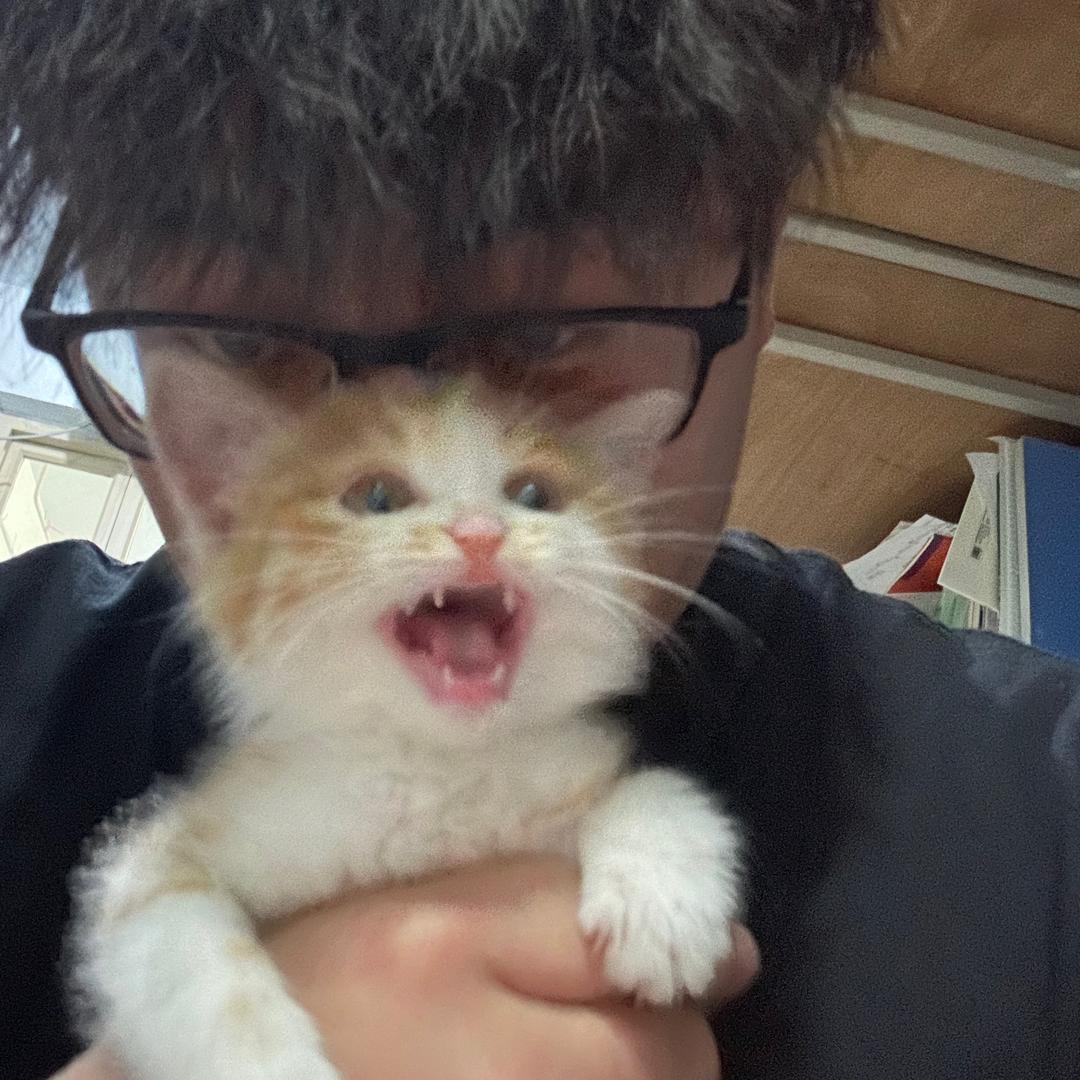 踏汐