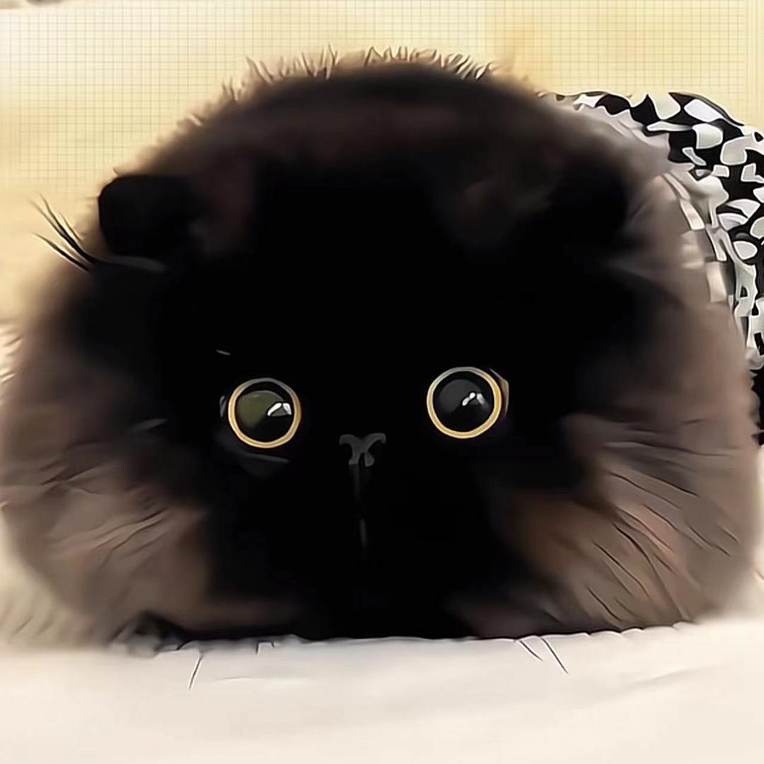 承插管件销售蔡