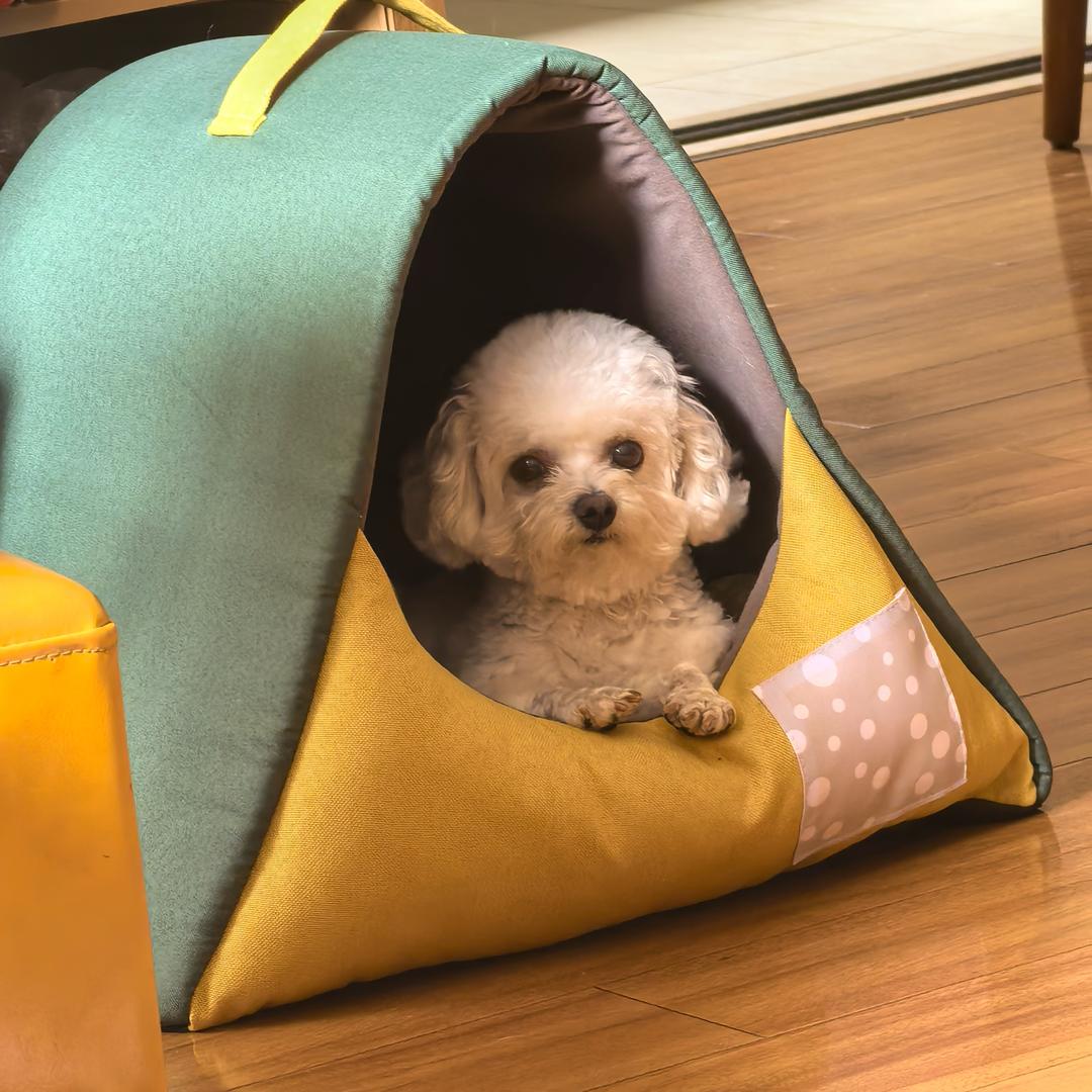 樱桃姐姐美食家