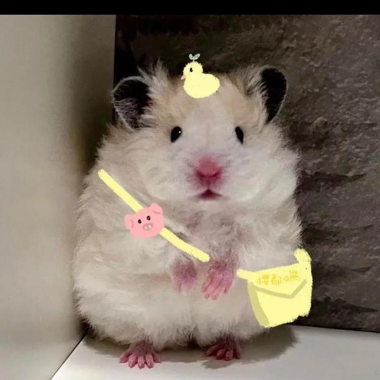 🐻熊孩子🐻