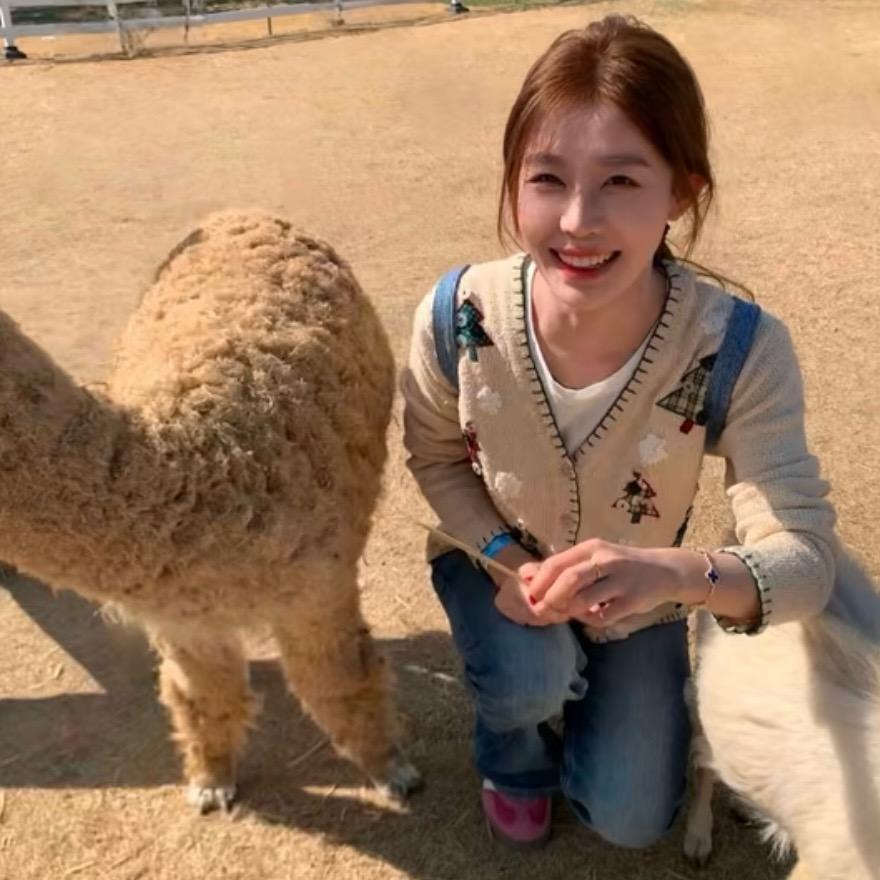 我不吃香菜