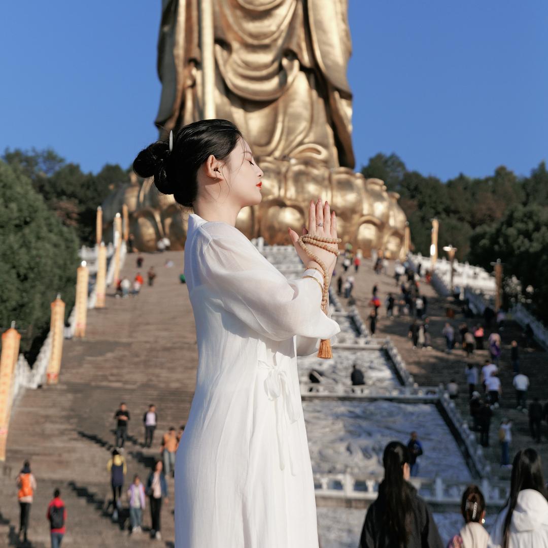 杨洋羊