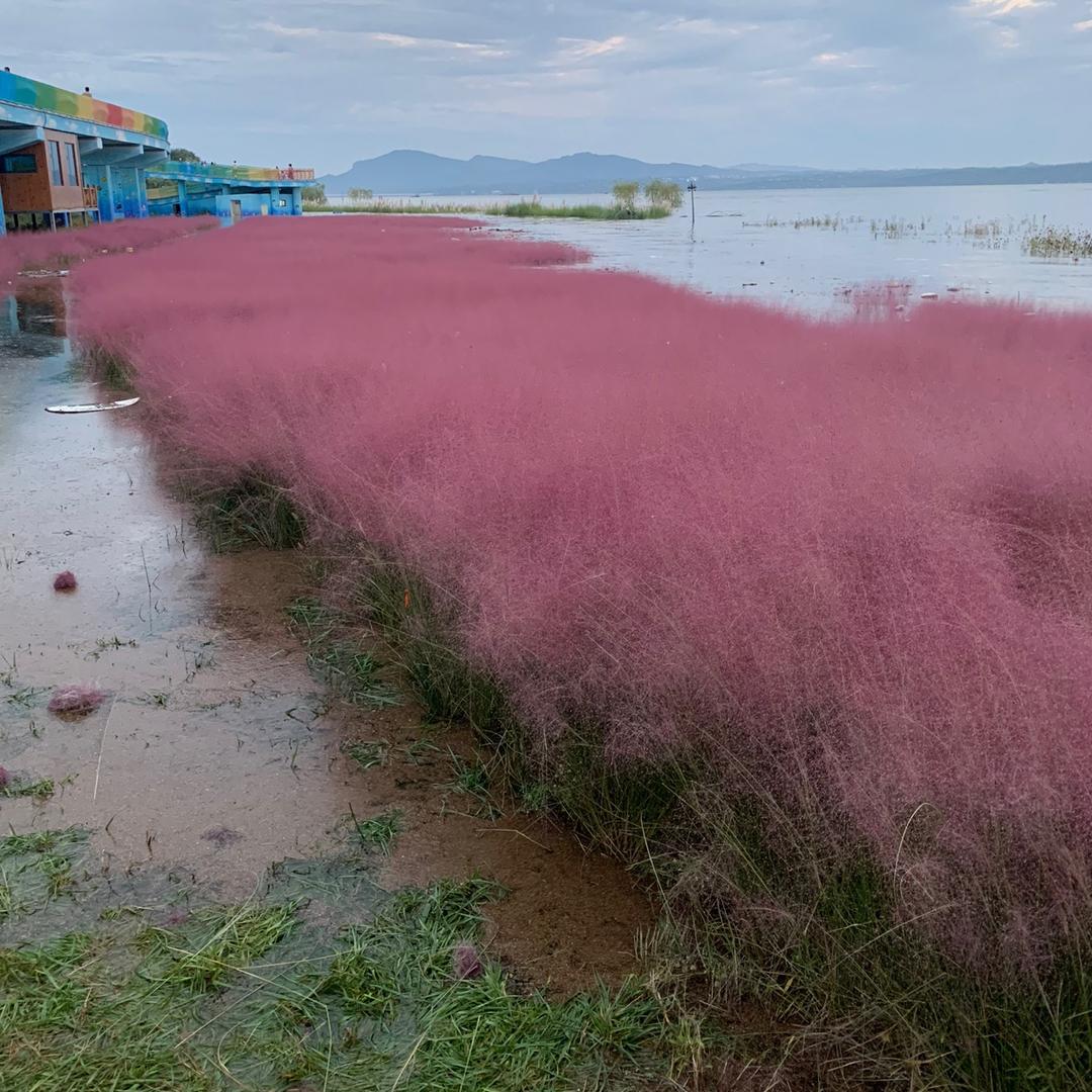 光仔电子商贸个体店