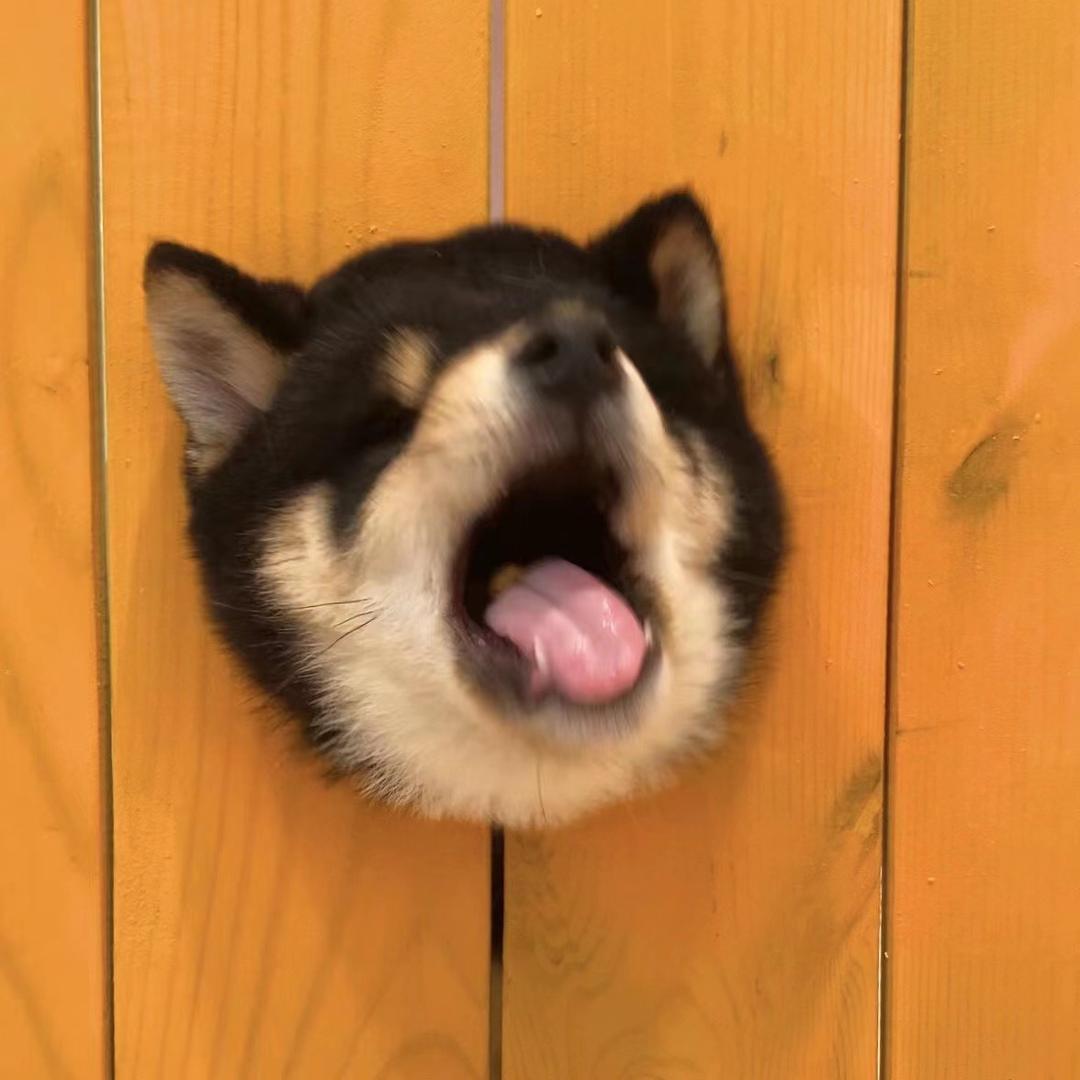 柴府犬舍