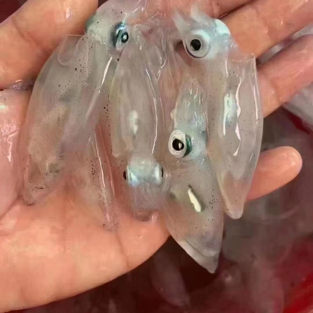 大海洋水产