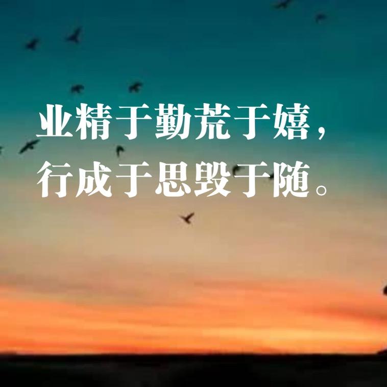 石榴爆爆