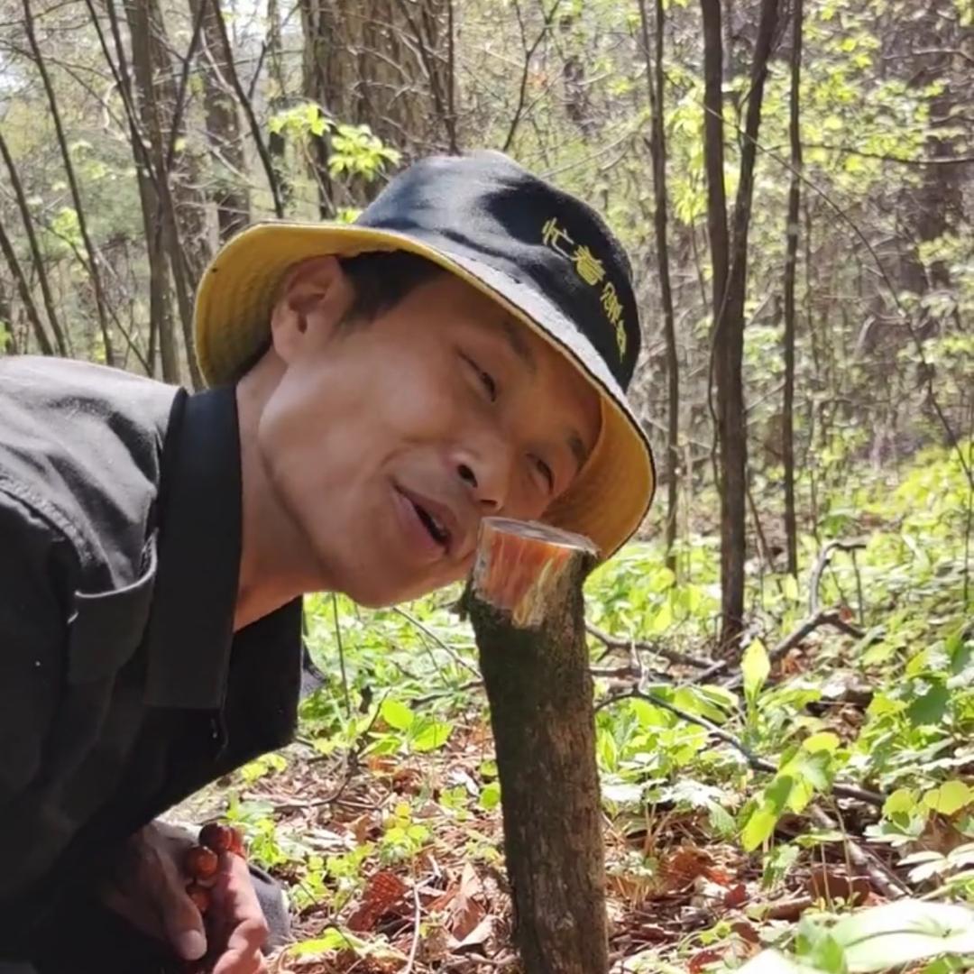 德善血龙木琥珀木厂家直销