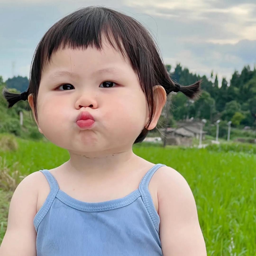 小飞象