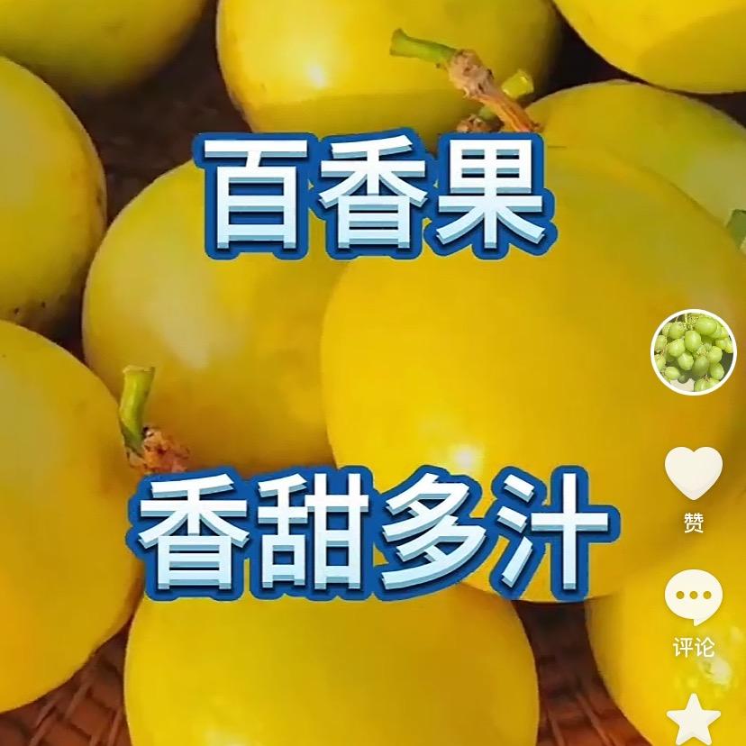 达达果园