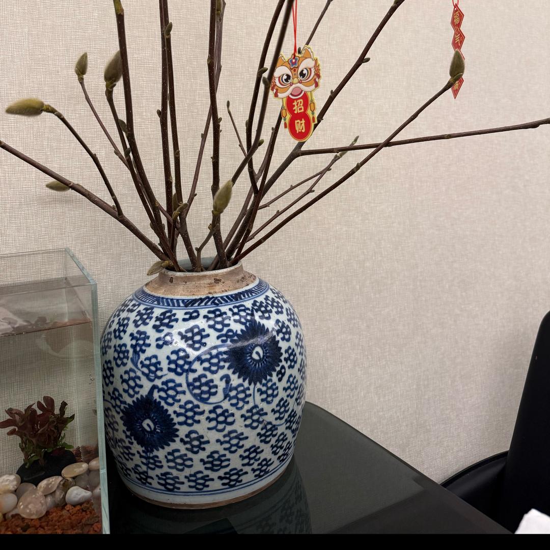 珍品陶瓷6