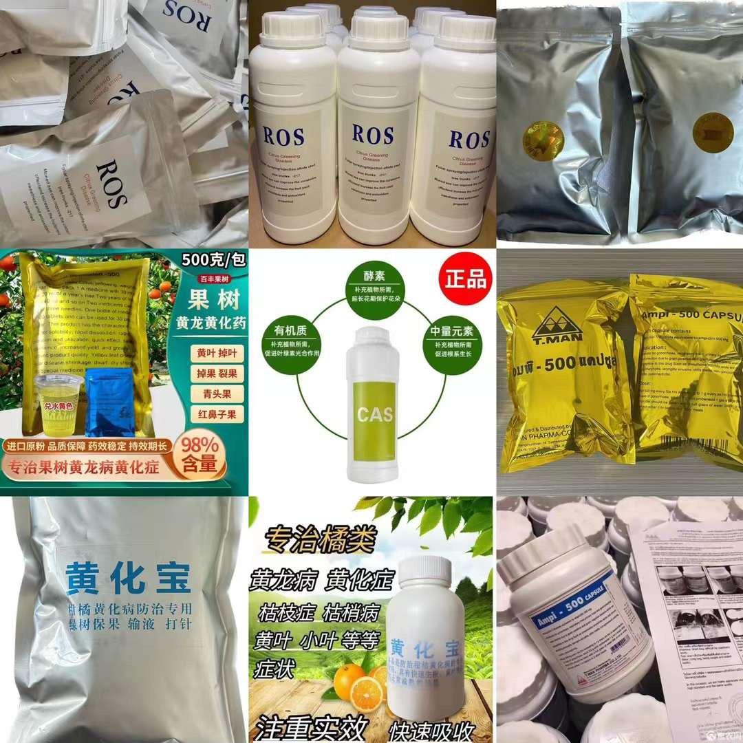 柑橘黄化黄龙营养液批发中心