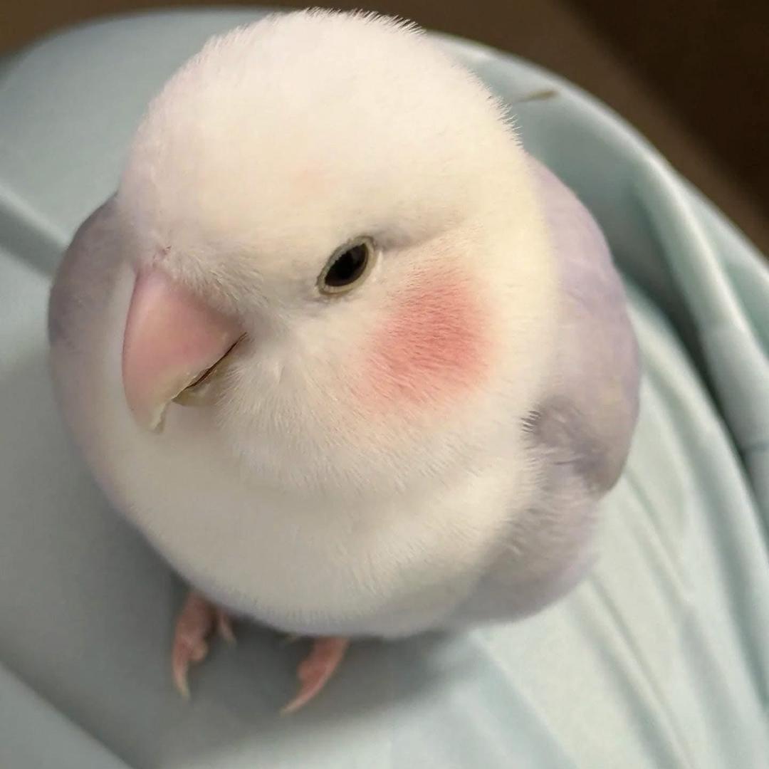 深得我心𓆩♡𓆪