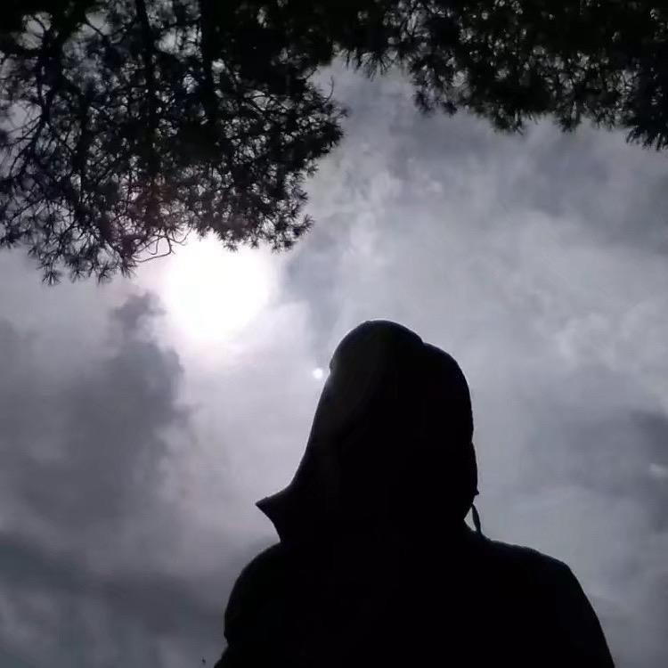 禅悟随天