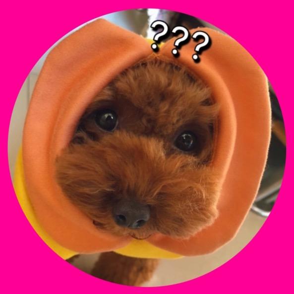 一路跑偏的小丸子