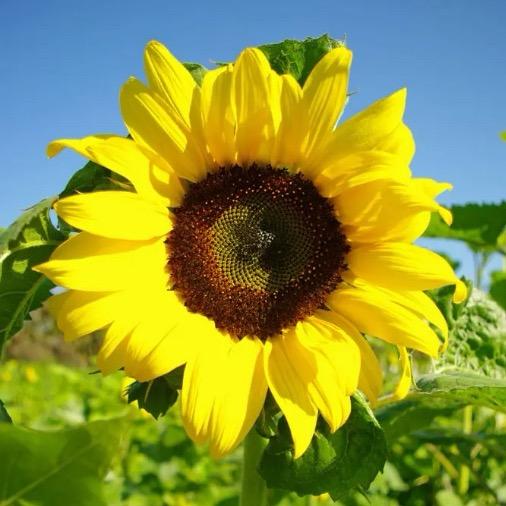 邳州彭河桥招商路垂钓园